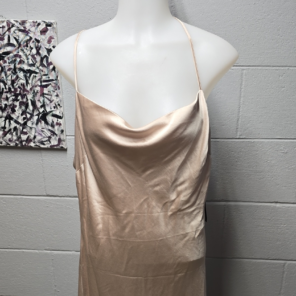 Express Satin Dress in Champagne - Picture 2 of 15